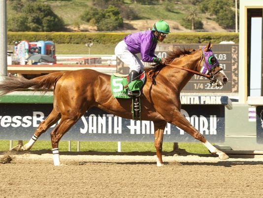 Run Like The Wind, California Chrome!!