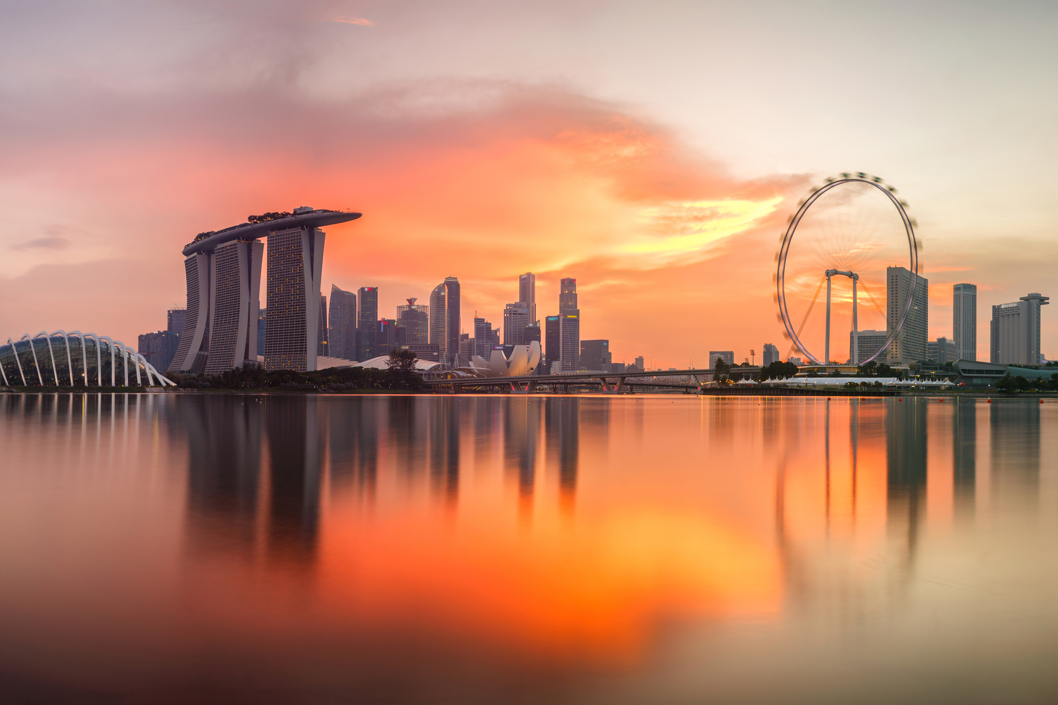 What Critical Factors Must You Know About For Global Expense Management?